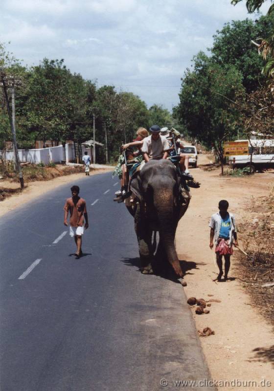 Elefantensafari 3 